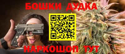 крисы Канаш