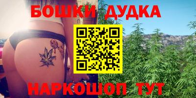 крисы Канаш