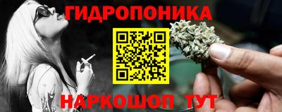 прущие крисы Камышлов