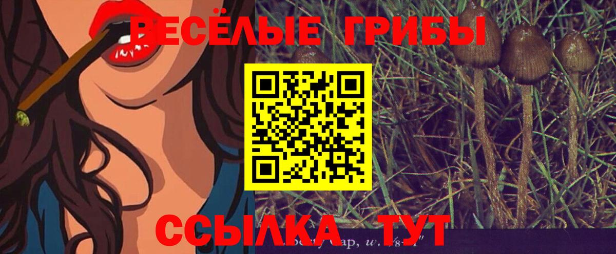 Балтийск  Галлюциногенные грибы ЛСД  Вход с VPN 