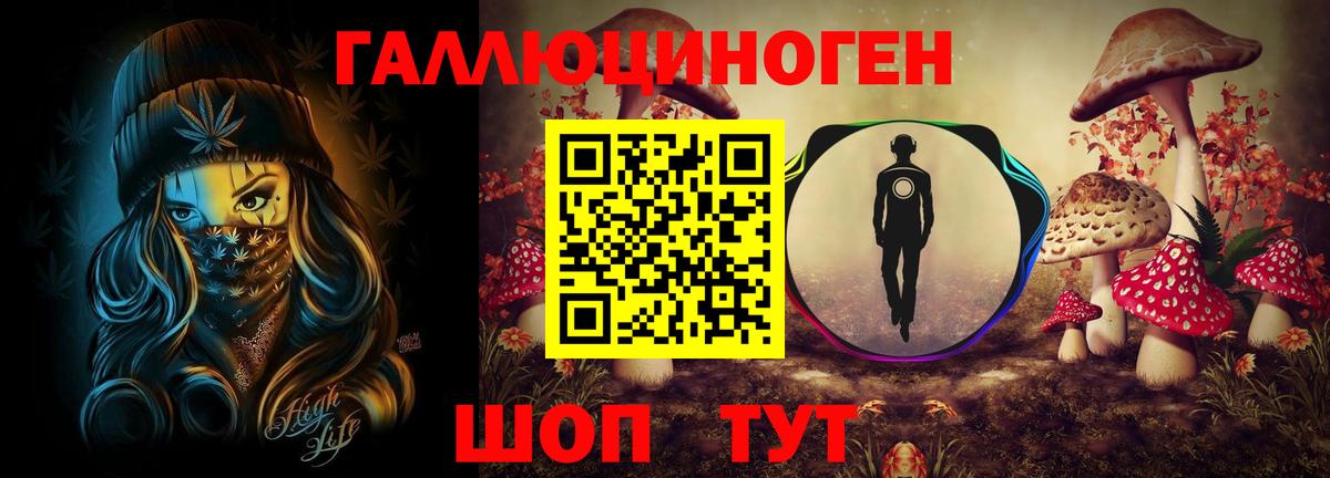 Псилоцибиновые грибы мухоморы Балтийск